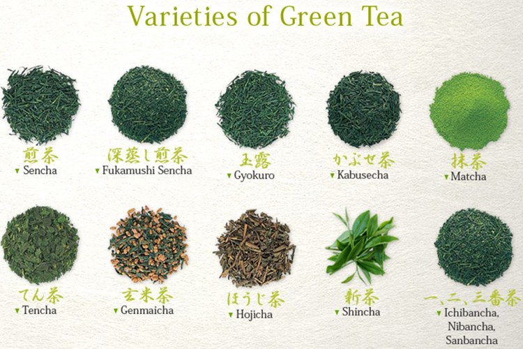 Image result for types of green tea