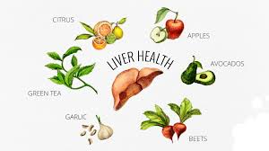 Image result for liver health